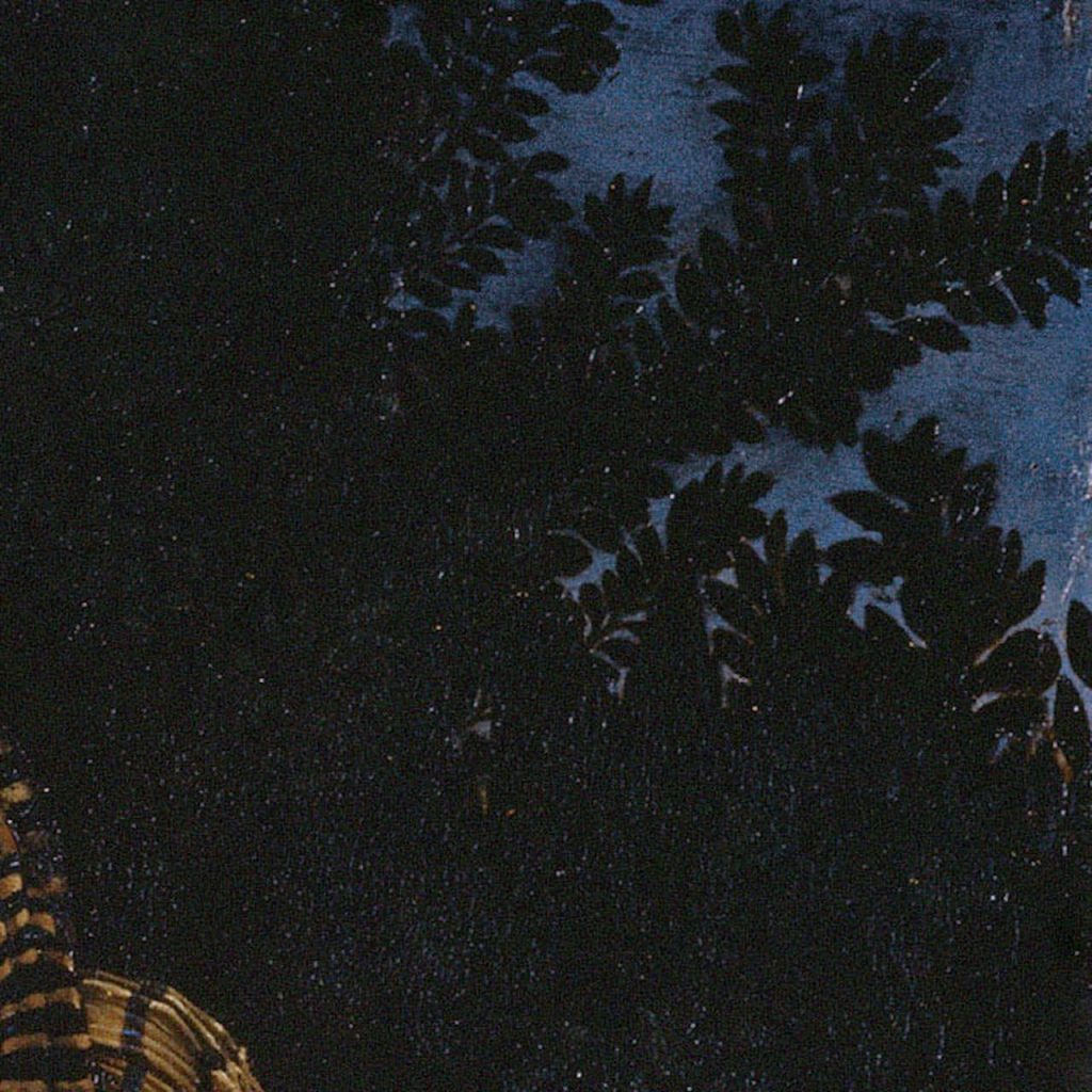 cespuglio la fornarina raffaello palazzo barberinicespuglio la fornarina raffaello palazzo barberini